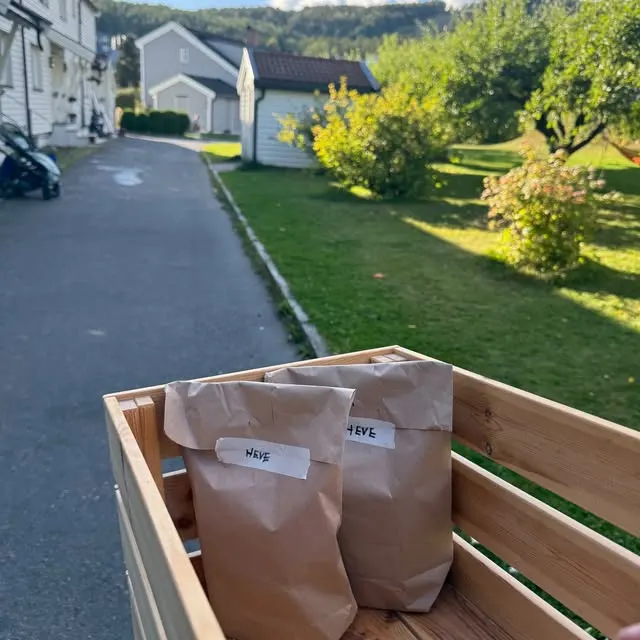 Papirposer med navn, klare for henting